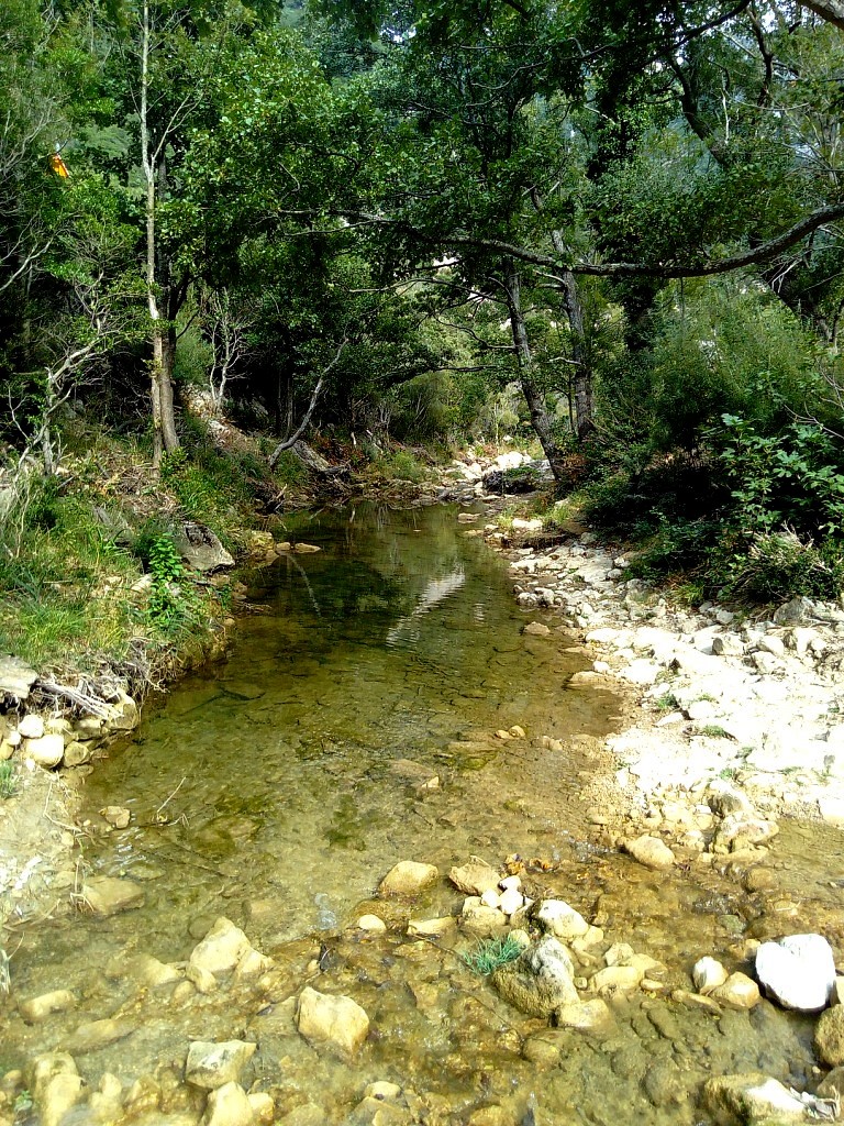 Photo n° 16 de l'avis de Thierry.E fait le 23/09/2018 à 14:27
