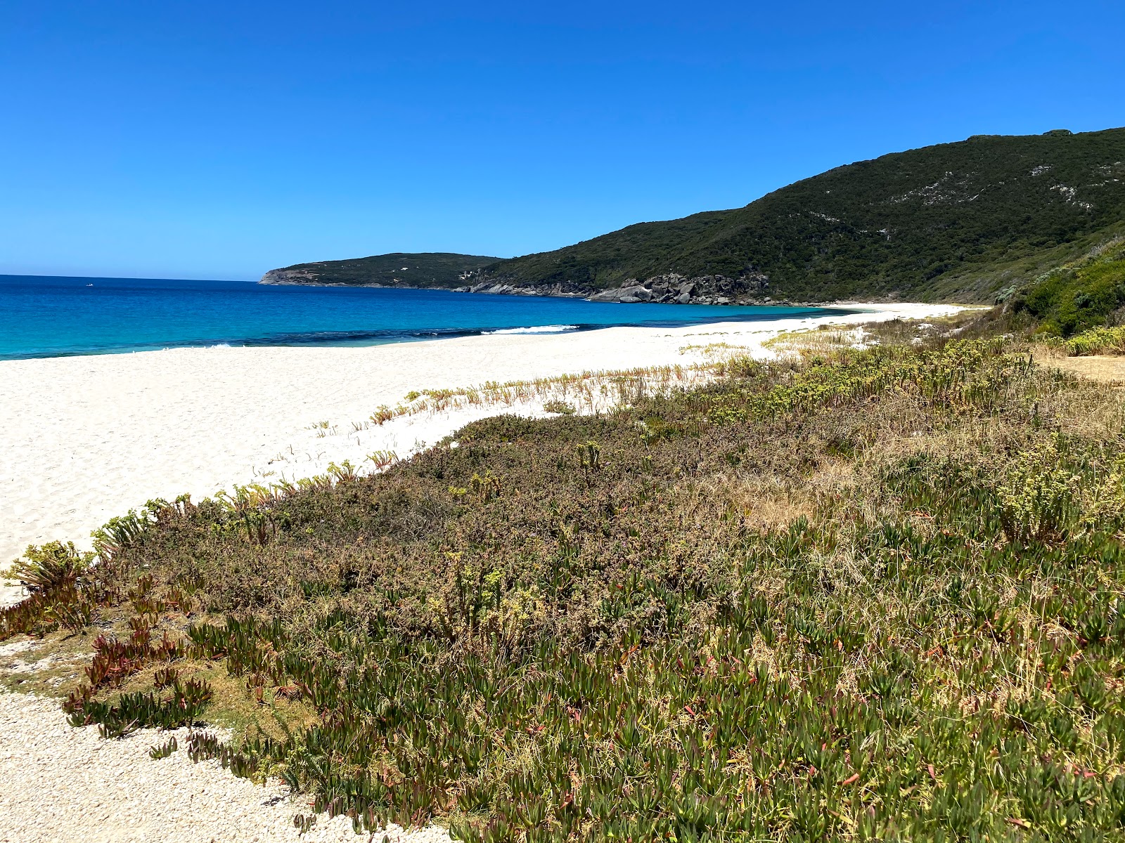 Shelly Beach photo #8