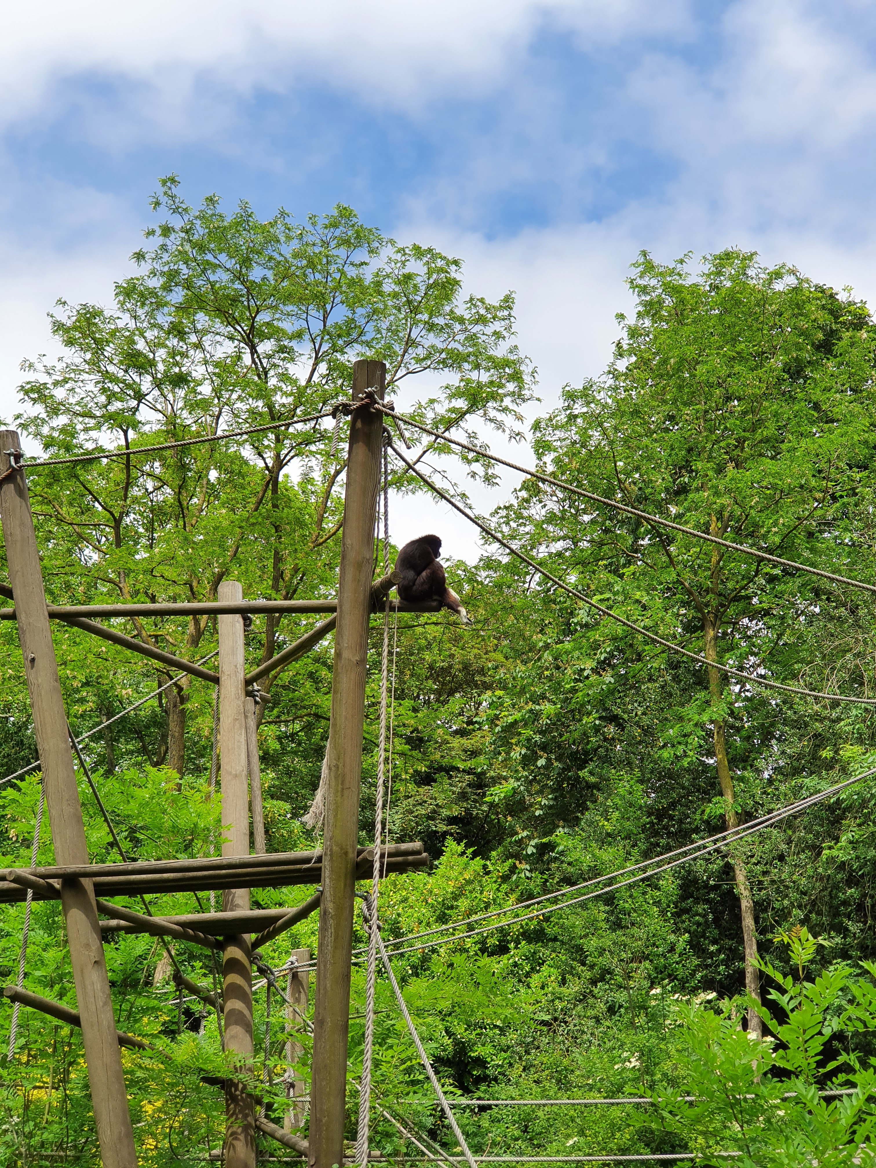 Photo n° 3 de l'avis de Floriane.O fait le 11/06/2021 à 14:04