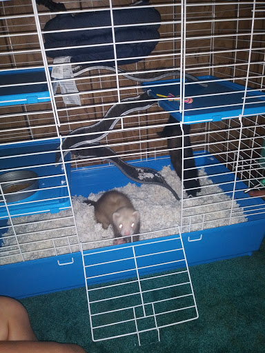 Pet Supply Store «Petco Animal Supplies», reviews and photos, 1015 Fording Island Rd, Bluffton, SC 29910, USA