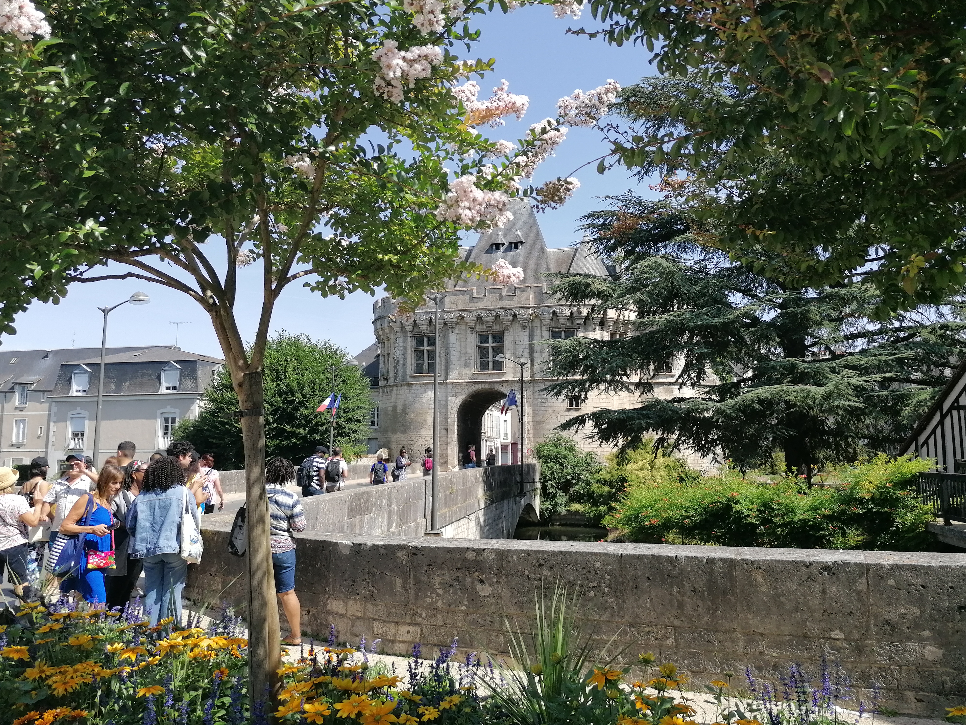 Photo n° 10 de l'avis de Michel.E fait le 24/07/2022 à 18:40