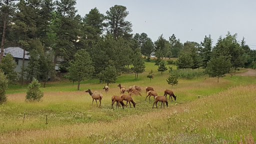 Nature Preserve «Lookout Mountain Nature Center and Preserve», reviews and photos, 910 Colorow Rd, Golden, CO 80401, USA