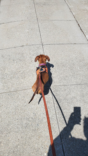 Pet Supply Store «Petco Animal Supplies», reviews and photos, 3012 Bridgepointe Pkwy, San Mateo, CA 94404, USA