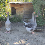 Photo n° 7 de l'avis de Hakim.o fait le 24/08/2022 à 06:10 pour Ferme Pédagogique Du Roy D'espagne à Marseille