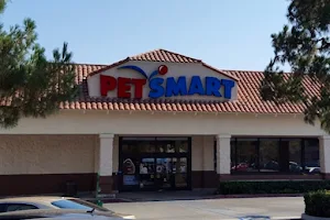 PetSmart image