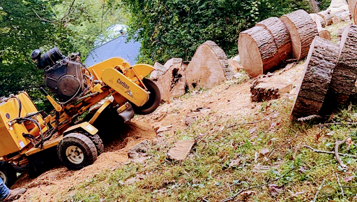 Ramírez tree services & stump removal