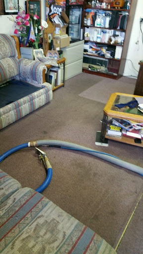 New Life Carpet Cleaning Service