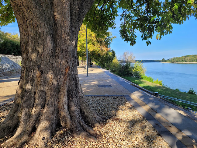 Erzsébet kávéház és cukrászda - Kávézó