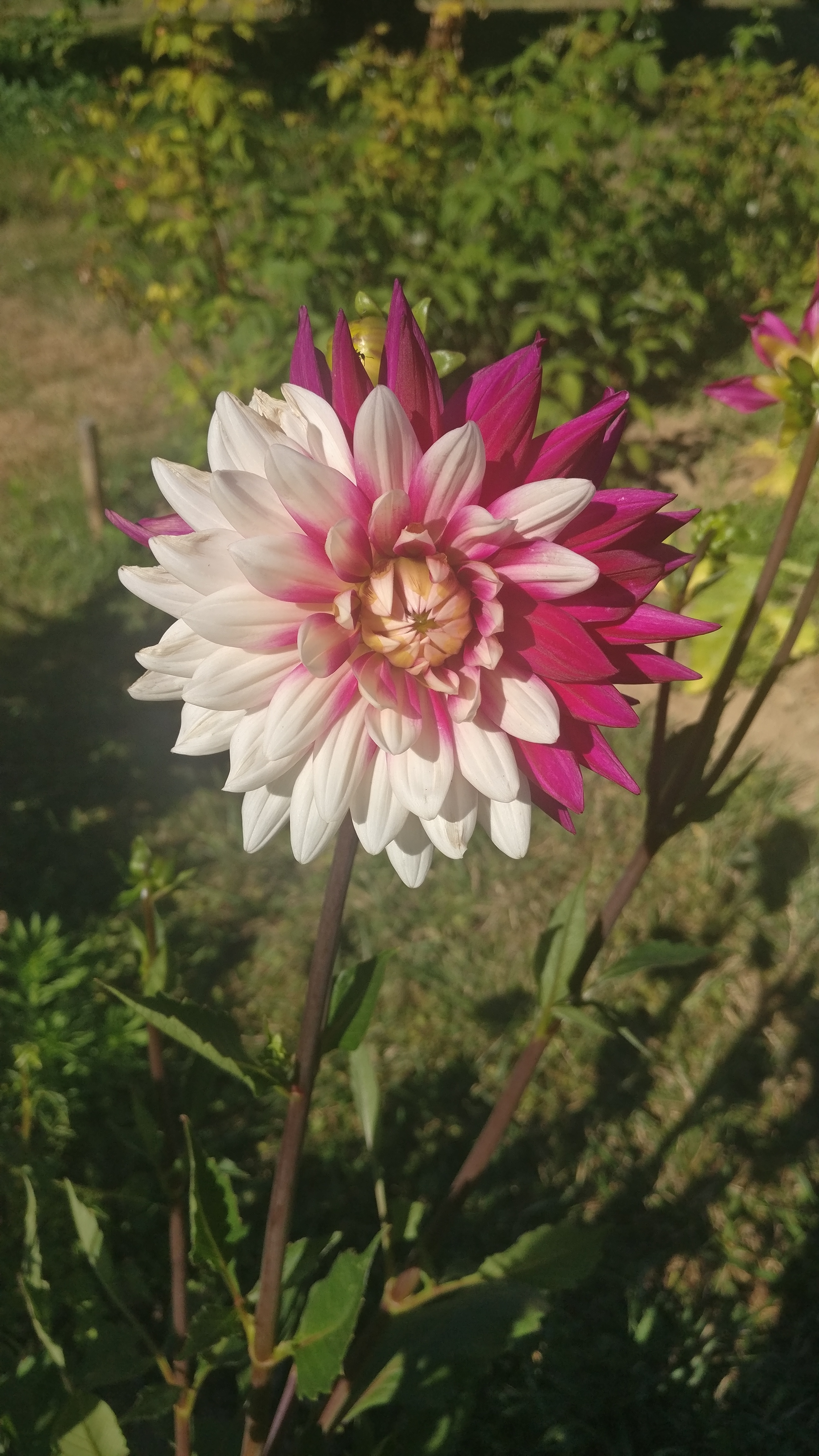 Photo n° 6 de l'avis de Séverine.r fait le 12/07/2020 à 17:21