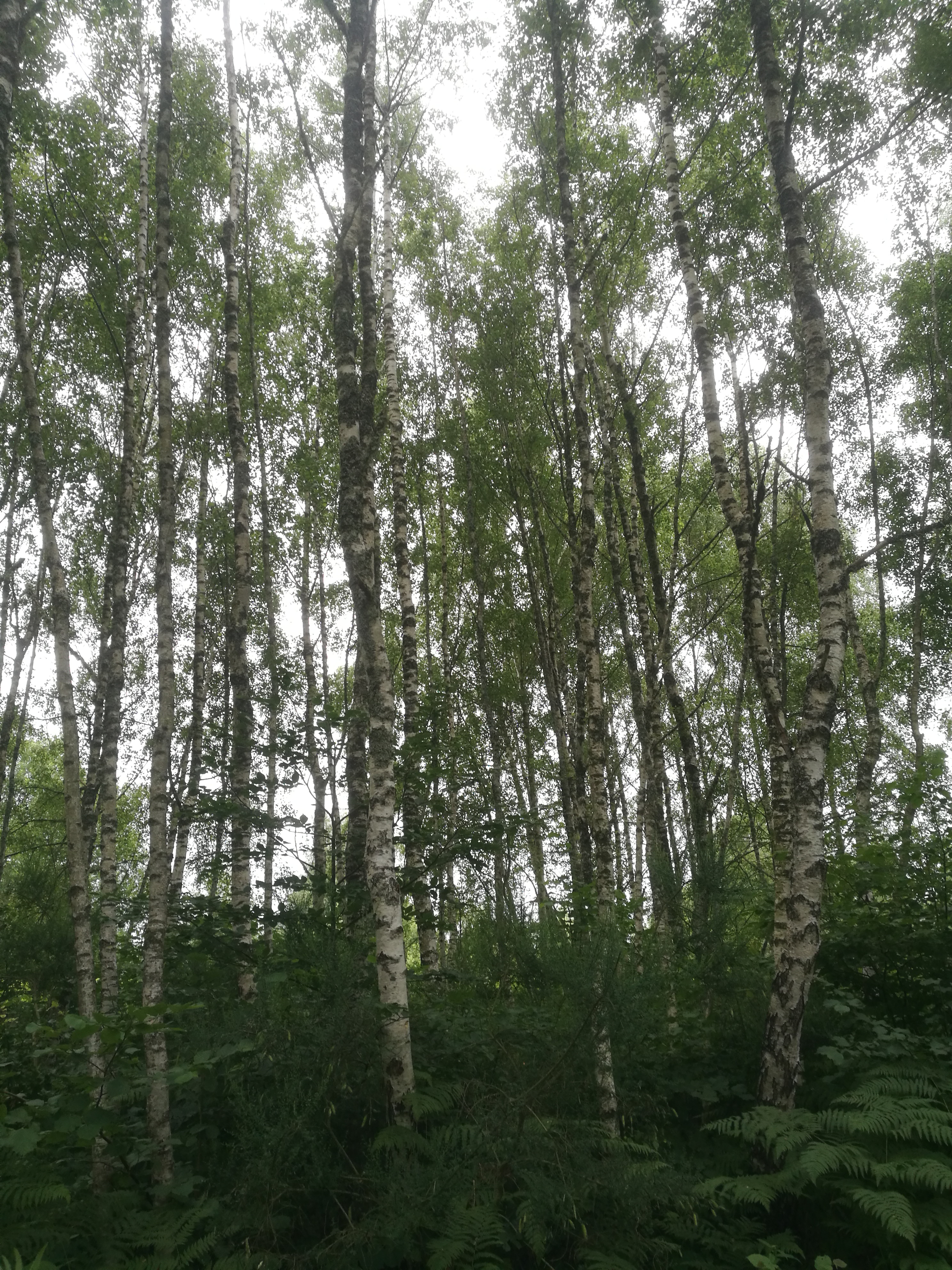 Photo n° 8 de l'avis de E. fait le 30/07/2021 à 15:10