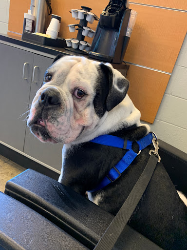 Tire Shop «Wheel Works», reviews and photos, 15553 Los Gatos Blvd, Los Gatos, CA 95032, USA