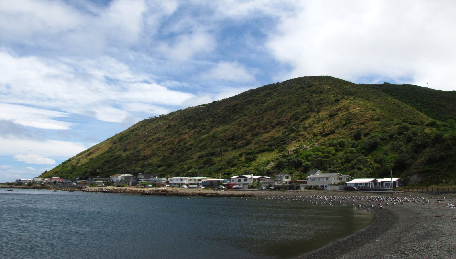 Foto av Owhiro Bay Beach och bosättningen