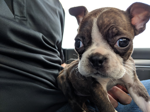 Animal Feed Store «Locke Hill Feed, Pet, & Lawn Supply», reviews and photos, 4927 Golden Quail #105, San Antonio, TX 78240, USA