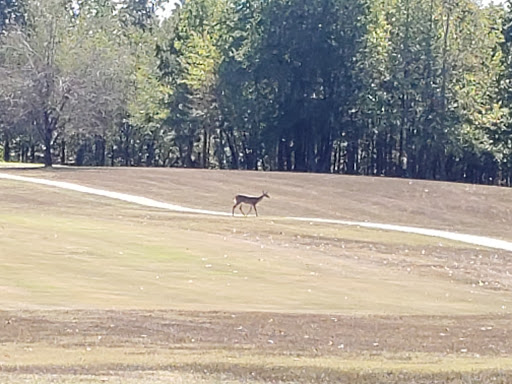 Golf Course «Willow Ridge Golf Course», reviews and photos, 2065 Erin Rd, McEwen, TN 37101, USA