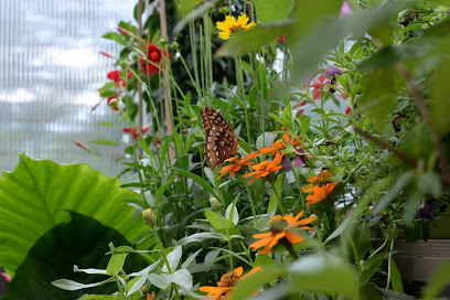 Dahlonega Butterfly Farm