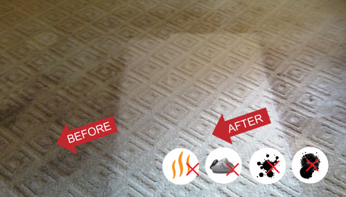 Century Carpet & Tile Cleaning