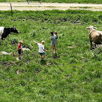 Photo n°1 de l'avis de Gianni.o fait le 25/06/2018 à 12:59 sur le  Nestalp à Peio