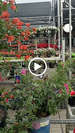 Home Improvement Store «The Home Depot», reviews and photos, 3730 Sun City Center Blvd, Ruskin, FL 33573, USA