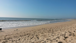 Photo de Plage du Treuil - endroit populaire parmi les connaisseurs de la détente