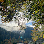 Photo n°7 de l'avis de Gaby.r fait le 26/10/2023 à 04:59 sur le  Hotel Schloss Hornberg à Hornberg