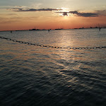 Photo n°2 de l'avis de Timeto.t fait le 05/06/2019 à 13:34 sur le  La Dolce Brasserie à Venice