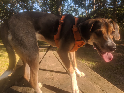 Park «Theodore Wirth Regional Park», reviews and photos, 1339 Theodore Wirth Pkwy, Golden Valley, MN 55422, USA