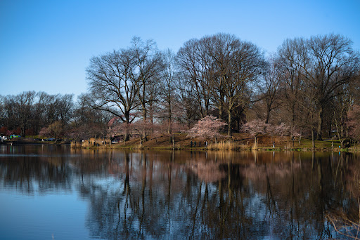 Park «Branch Brook Park», reviews and photos, Lake St & Park Avenue, Newark, NJ 07104, USA