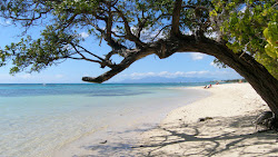 Photo de Anse du Mancenillier Beach avec un niveau de propreté de assez propre