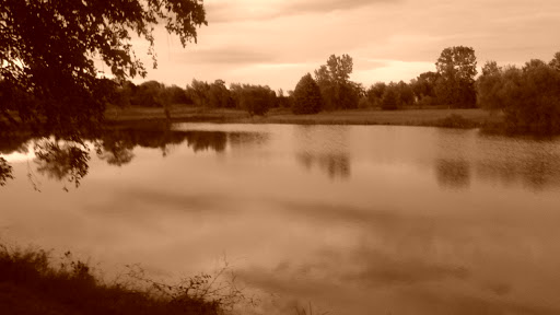 Golf Club «Wood Wind Golf Club», reviews and photos, 2302 W 161st St, Westfield, IN 46074, USA