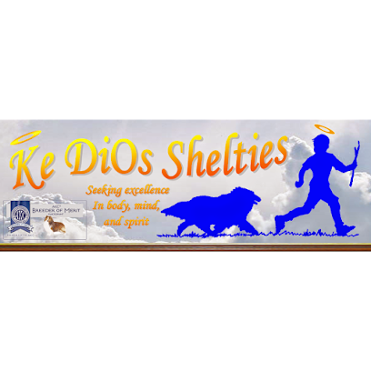 KeDiOs Shelties