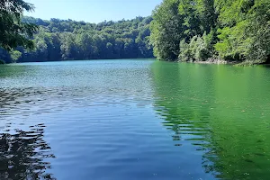 Emerald Lake forest parking image