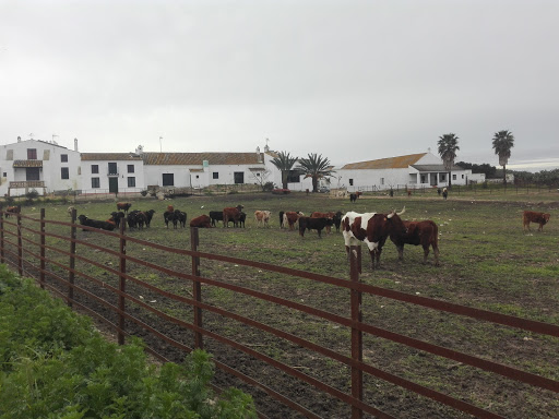 Información y opiniones sobre Cortijo Alventus de Trebujena