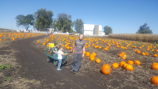 Pumpkin Patch «Barts Farm and Pumpkin Patch», reviews and photos, 7307 Alburnett Rd, Marion, IA 52302, USA