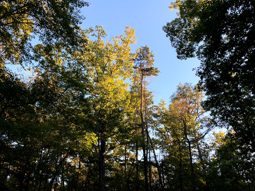 National Park «Greenbelt Park», reviews and photos, 6565 Greenbelt Rd, Greenbelt, MD 20770, USA