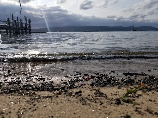 Park «Matthiessen Park», reviews and photos, 1 Bridge St, Irvington, NY 10533, USA