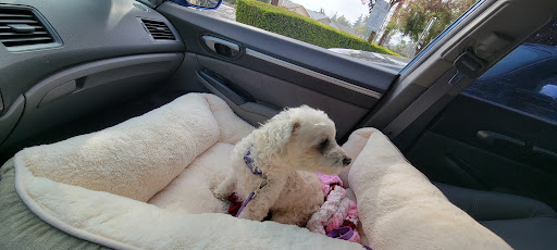 Monte Vista Small Animal Hospital image