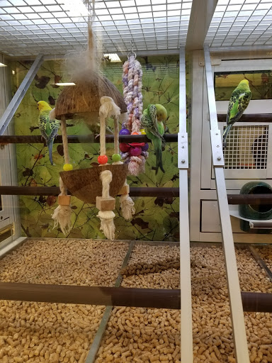 Pet Supply Store «PetSmart», reviews and photos, 4013 Wisconsin 28, Kohler, WI 53081, USA