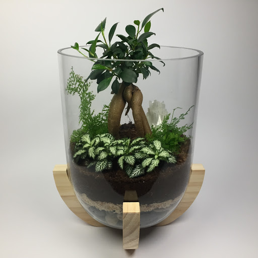 Geelong Terrariums Store