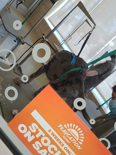 Pet Supply Store «Petco Animal Supplies», reviews and photos, 710 Franklin Ave, Franklin Square, NY 11010, USA