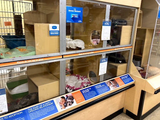 Pet Supply Store «PetSmart», reviews and photos, 32962 FM 2978 Rd, Magnolia, TX 77354, USA