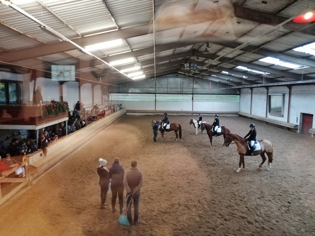 Reit-und Fahrverein Kusel und Umgebung e.V.