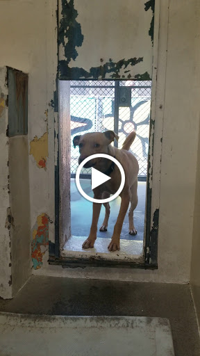 Carson Animal Shelter image