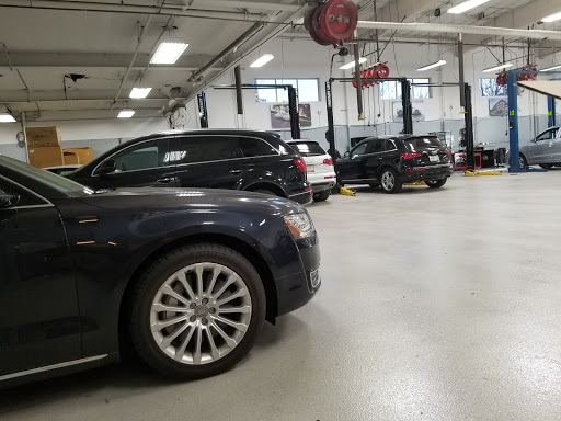 Audi Marin image