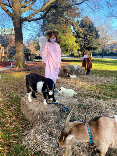 Pony Ride Service «Animals Unlimited LLC est 1996 travelling petting zoo/pony rides/travelling exotic animal programs .», reviews and photos, 16805 Mountain Rd, Montpelier, VA 23192, USA