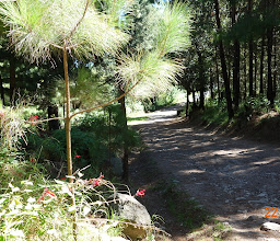 San Nicolás Totolapan Ejido Park photo