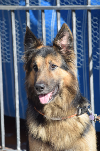 Alberó Hospital Veterinario en Sevilla