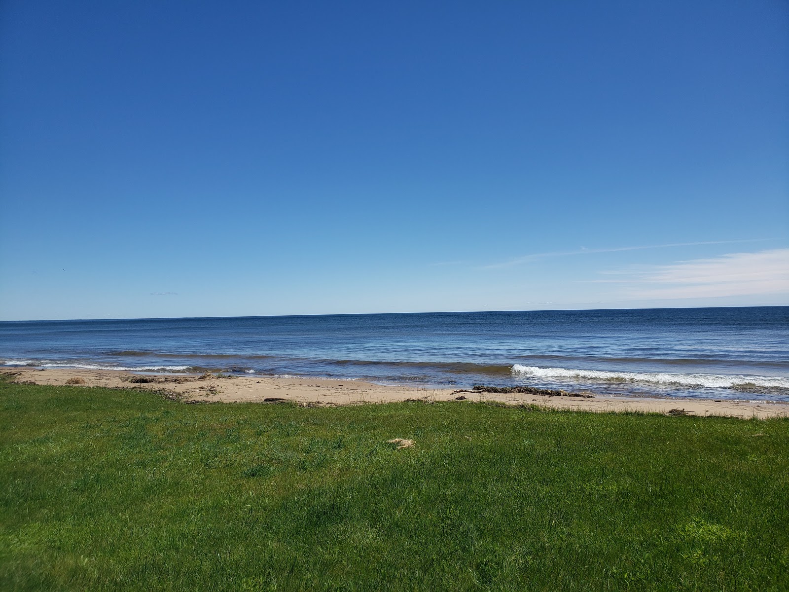 Photo de ThompsonRogers Beach situé dans une zone naturelle