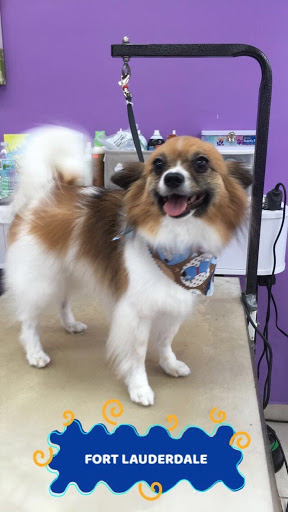 Pet Groomer «Mario`s Pet Grooming & Boutique», reviews and photos, 708 SE 17th St, Fort Lauderdale, FL 33316, USA
