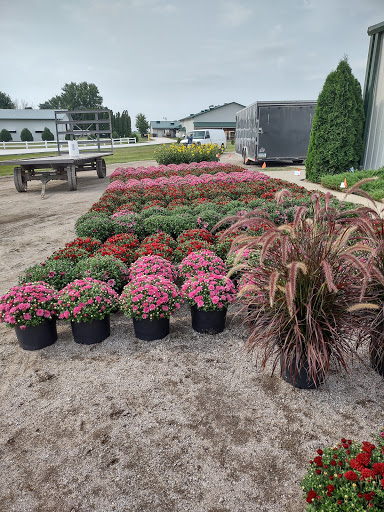 Grocery Store «Stringtown Grocery», reviews and photos, 2208 540th St SW, Kalona, IA 52247, USA