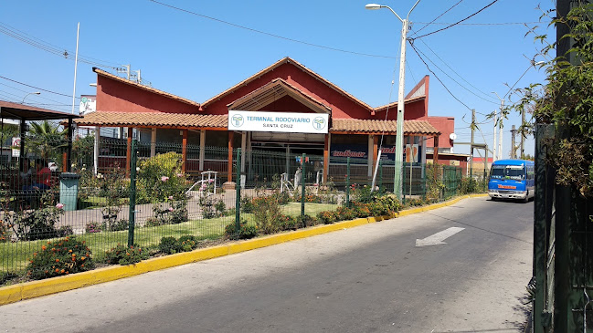 Terminal De Buses De Santa Cruz